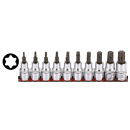 1/2" Socketbitset Torx 10Pc on rail