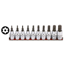 1/2" Socketbitset Torx 10Pc on rail