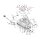 CHROME FLAT WASHER 1/2 INCH-25PACK