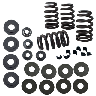 Valvespring kit .585"