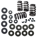 Valvespring kit .585"