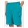 Dickies Jackson cargo short deep lake
