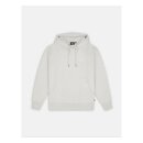 Dickies Summerdale hoodie light gray
