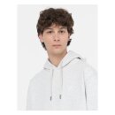 Dickies Summerdale hoodie light gray