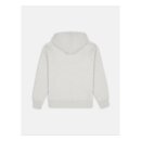 Dickies Summerdale hoodie light gray