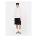 Dickies Summerdale hoodie light gray