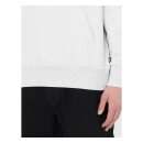 Dickies Summerdale hoodie light gray
