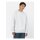 Dickies Summerdale sweat light gray