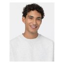 Dickies Summerdale sweat light gray