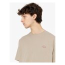 Dickies Mapleton t-shirt desert sand