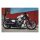 Cult-Werk, Nightster OEM style rear fender. Matte black