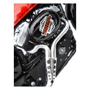 Zard, Conical 2-1 Sportster exhaust system. Polished