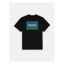 Dickies Leesburg box t-shirt black