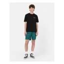 Dickies Leesburg box t-shirt black