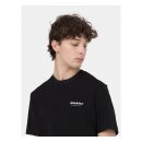 Dickies Leesburg box t-shirt black