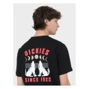 Dickies Kerby t-shirt black