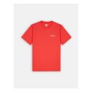 Dickies Leesburg box t-shirt bittersweet