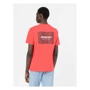 Dickies Leesburg box t-shirt bittersweet