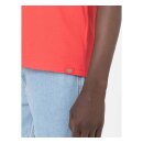 Dickies Leesburg box t-shirt bittersweet