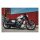 Cult-Werk, front fender Old School. Matte black
