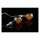 Daytona, D-Light SOL-W 3-1 LED Taillight/turn signal combo