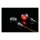 Daytona, D-Light SOL-W 3-1 LED Taillight/turn signal combo