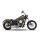 *2 WEEKS EXTRA TRANSIT TIME* KessTech, 2in2 3" Shotgun-Low exhaust ESM2. Chrome