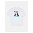 Dickies Kerby t-shirt white