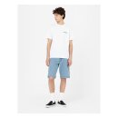 Dickies Kerby t-shirt white