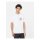 Dickies Bayside gardens t-shirt white