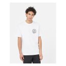 Dickies Bayside gardens t-shirt white