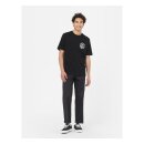 Dickies Bayside gardens t-shirt black