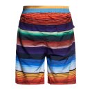 King Kerosin AOP Striped swim shorts