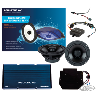 Aquatic Audio Kit for Road Glide 15-up