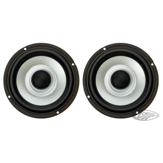 Aquatic 6.5" Speakers RGB Fairing