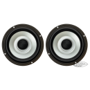 Aquatic 6.5" Speakers RGB Fairing