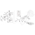 Cam chain, primary BT06-up