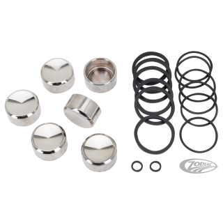 Rebuild kit 6-piston caliper Trike14-18