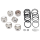 Rebuild kit 6-piston caliper Trike14-18