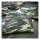 Army Surplus Allie star-Willy jeep Hoodie camo