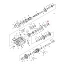 Colony transmission sprocket nut. Steel