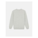 Dickies Aitkin sweatshirt grey