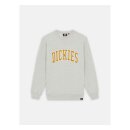 Dickies Aitkin sweatshirt grey