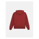 Dickies Icon Logo hoodie fired brick