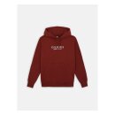 Dickies Park hoodie fired brick