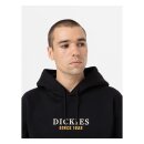 Dickies Park hoodie black