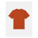 Dickies Summerdale t-shirt bombay brown