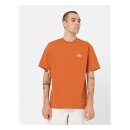 Dickies Summerdale t-shirt bombay brown