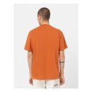 Dickies Summerdale t-shirt bombay brown