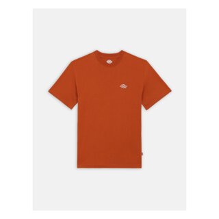 Dickies Summerdale t-shirt bombay brown